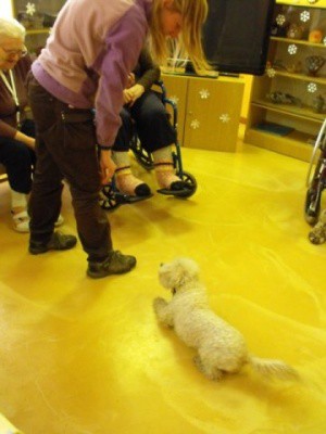 Photo by Svet pudlov